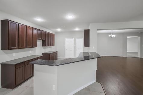 4819 Ibis Lake Court Katy TX 77449