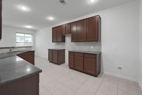 4819 Ibis Lake Court Katy TX 77449