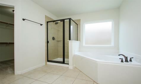 20559 Iron Seat Drive Hockley TX 77447