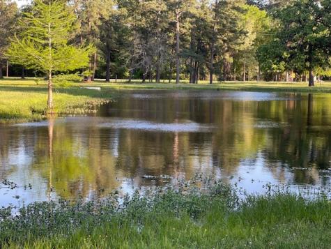 26586 Joseph Road Hockley TX 77447