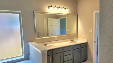 23602 Acerola Tree Court Katy TX 77493