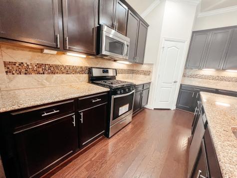 17022 Kaitlyn Kerria Court Richmond TX 77407