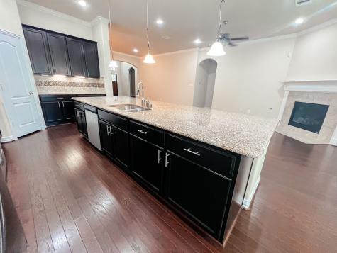 17022 Kaitlyn Kerria Court Richmond TX 77407