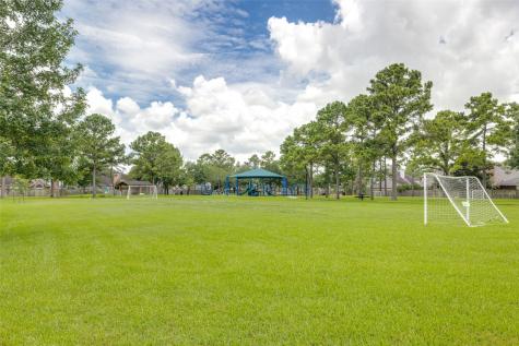 19323 Indian Hawthorn Drive Houston TX 77094
