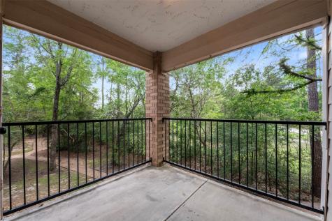 8051 Bay Branch Drive 423 The Woodlands TX 77382