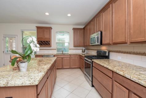 14 Wood Drake Place Tomball TX 77375