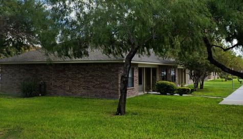 210 N Eagle Pass Road Alton TX 78573