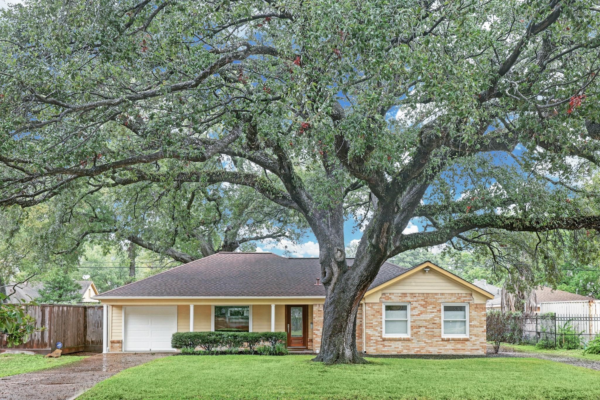 223 Avenue Of Oaks Street Houston TX 77009
