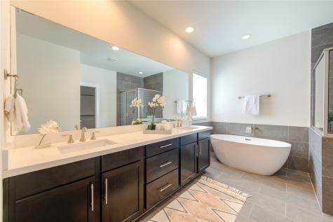 8803 Hollister Pine Court Houston TX 77080