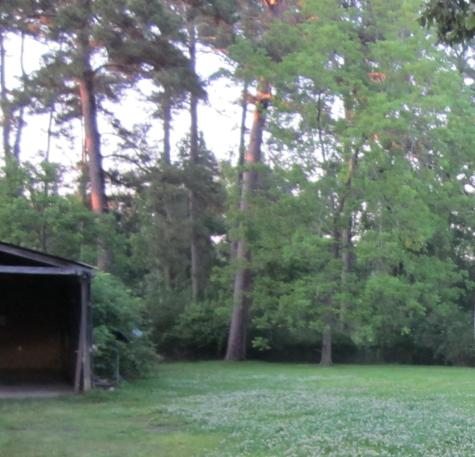 4018 E Mossy Oaks Road Spring TX 77389