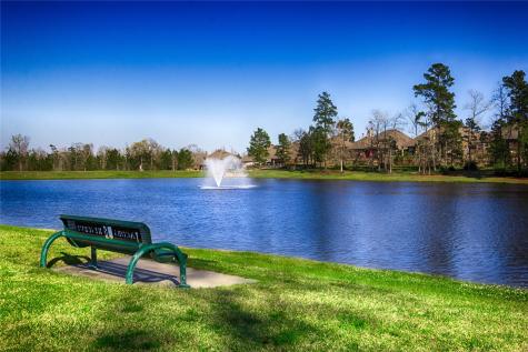 1515 Holly Chase Court Conroe TX 77384