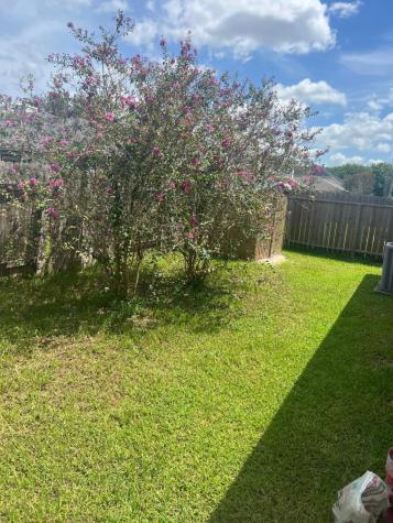 4007 Teal Vista Court Fresno TX 77545