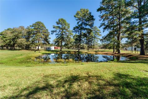 25717 Lakeside Drive Hockley TX 77447