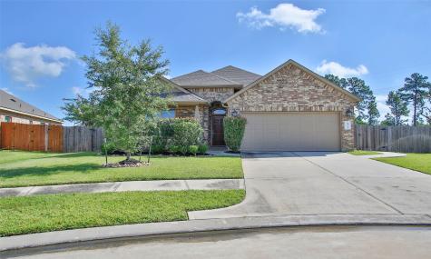 14313 Congaree Court Conroe TX 77384