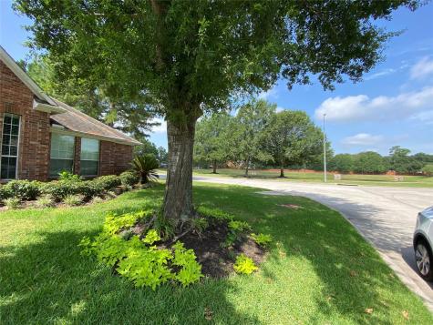 11719 Goldstream Court Tomball TX 77377