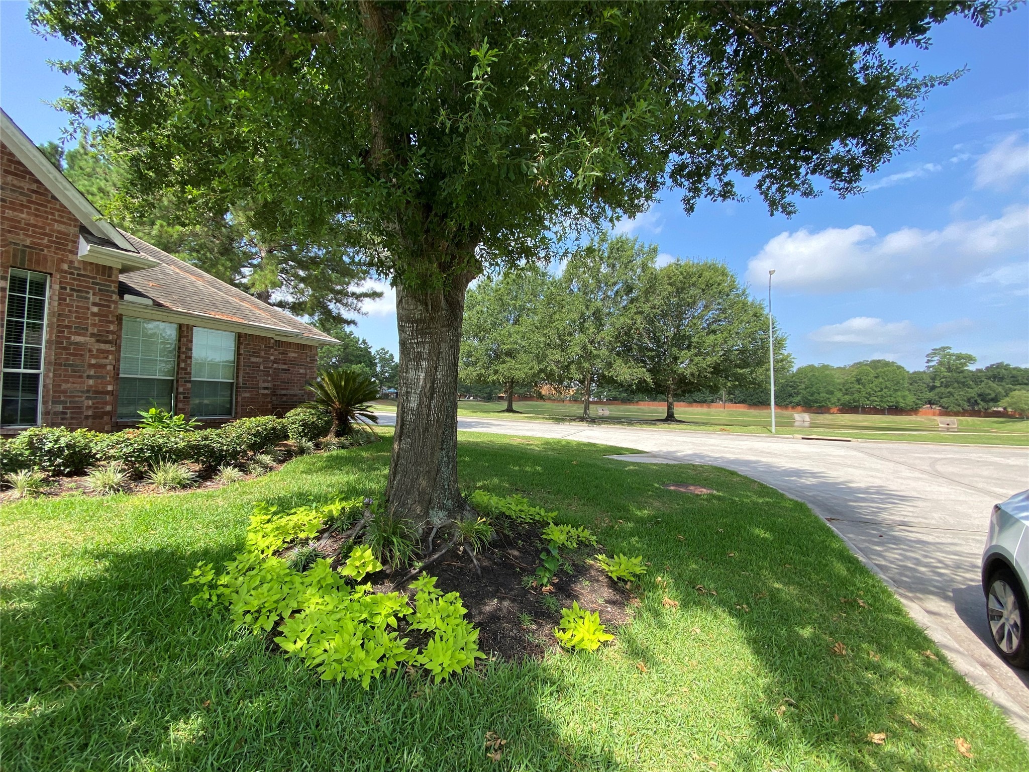 11719 Goldstream Court Tomball TX 77377