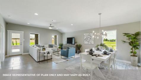 28939 Lupo River Court Katy TX 77494