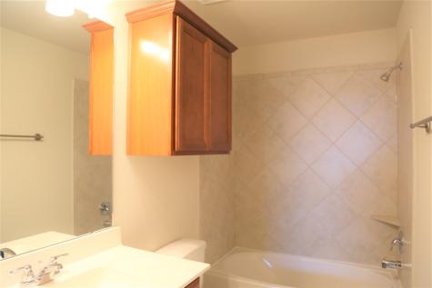 8122 Anderwood Knoll Trace Richmond TX 77407