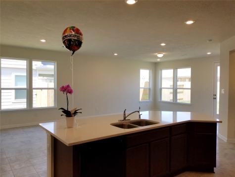 20806 Westgreen Plains Drive Katy TX 77449