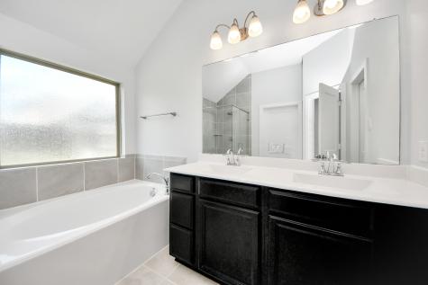 7035 Coneflower Creek Court Katy TX 77493