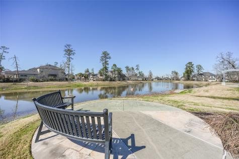 17590 Rosette Grass Drive Conroe TX 77385