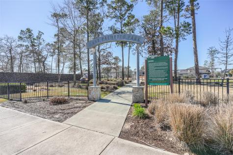 17590 Rosette Grass Drive Conroe TX 77385