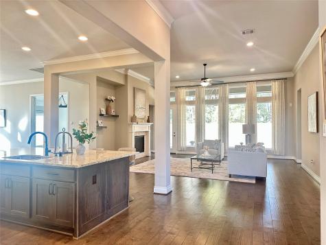 25202 Azel Shore Court Porter TX 77365