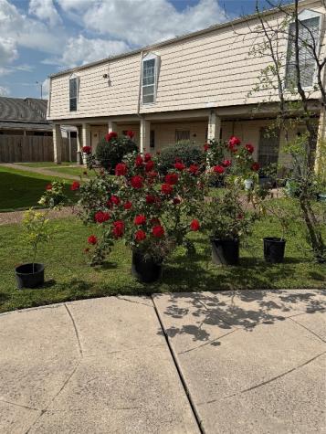 6201 Ranchester Drive 22 Houston TX 77036