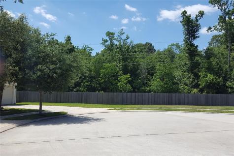 12810 Mainstay Place Lane Houston TX 77044