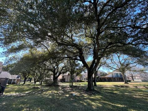 2702 Kissing Camel Court Missouri City TX 77459