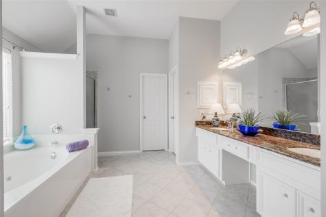 12414 N Shadow Cove Drive Lane Houston TX 77082