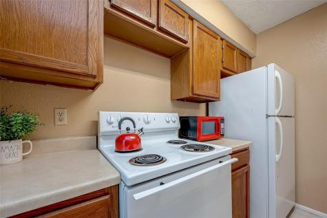 10555 Turtlewood Court 1109 Houston TX 77072