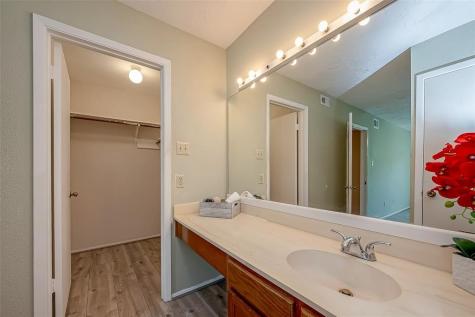 10555 Turtlewood Court 1109 Houston TX 77072