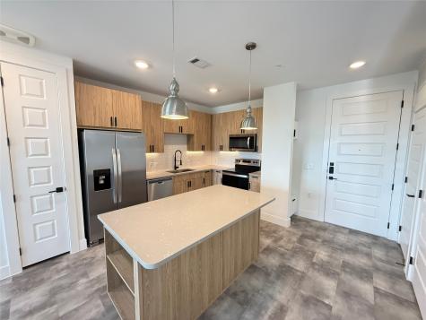 2520 Washington Avenue A4-518 Houston TX 77007
