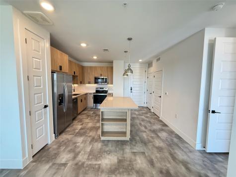 2520 Washington Avenue A4-518 Houston TX 77007