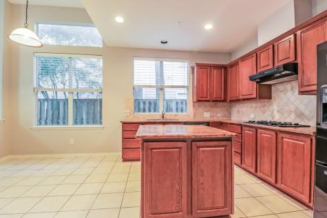 22 Wildflower Trace Place Spring TX 77382