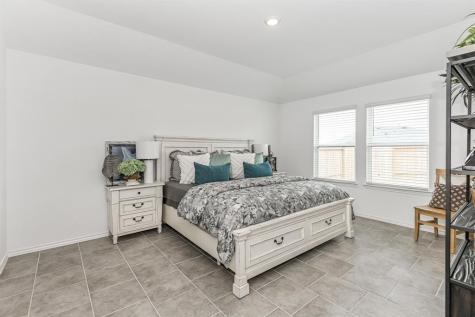 1039 Cattle Chute Court Rosharon TX 77583