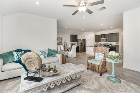 1039 Cattle Chute Court Rosharon TX 77583