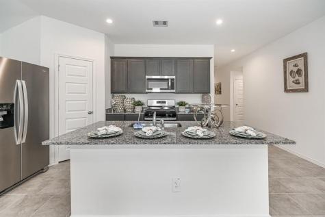 1039 Cattle Chute Court Rosharon TX 77583