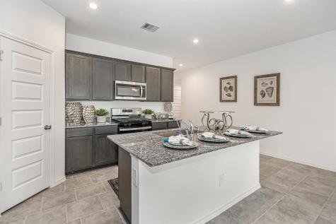 1039 Cattle Chute Court Rosharon TX 77583