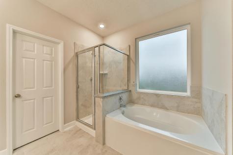 18114 Ivy Cliff Court Humble TX 77338