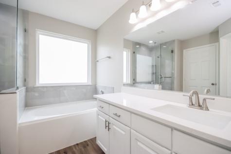29483 Iris Bloom Court Spring TX 77386