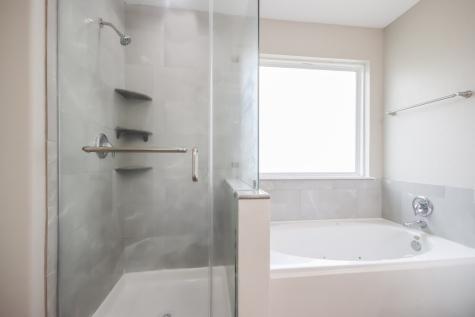 29483 Iris Bloom Court Spring TX 77386