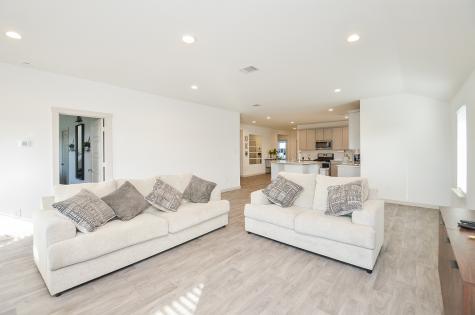 230 Serena Park Lane Rosharon TX 77583