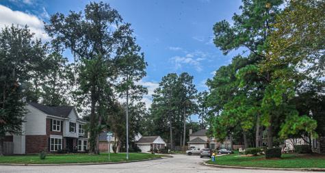 507 Alley Court Spring TX 77388