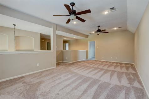 23134 Beech Canyon Drive Katy TX 77494
