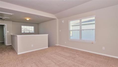 3524 Cannon Drive Conroe TX 77301