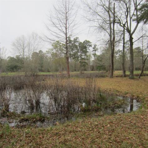 512 County Road 2222 Cleveland TX 77327