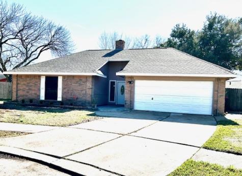 14231 Fitzroy Court Houston TX 77083