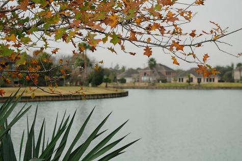 6802 Spanish Bay Court Missouri City TX 77459